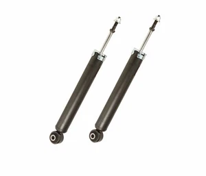 2 amortiguadores traseros aptos para tracción trasera 2005-10 Chrysler 300, 2006-10 Dodge Charger, 05-08 Magnum - Imagen 1 de 2