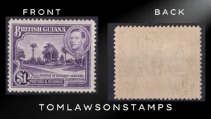 British Guiana Sg317 $1 Bright Violet LMM / Cat £29 (01) - Picture 1 of 4