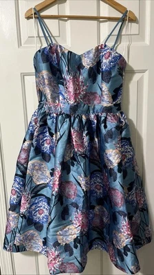Anthropologie Champagne & Strawberry Floral Blue Pink Fit & Flare Dress Medium - Image 1 of 4