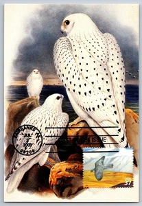 #3802a Arctic Tundra Gyrafalcon FDC Maxi Card - Picture 1 of 2