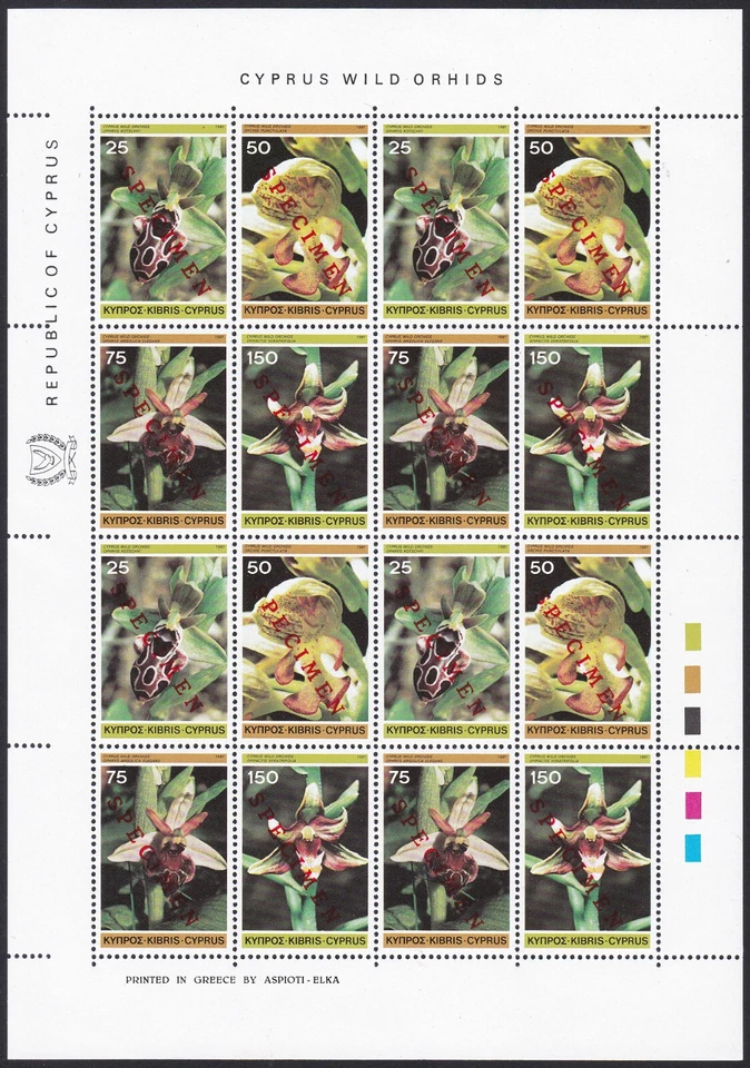 Espécimen, Orquídea Chipre Sc568a, Flor, Hoja Completa Foto 1 de 1