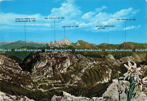 D149303 Timau. Road of Monte Croce Carnico. L. Moro. Cesare Capello - Imagen 1 de 4