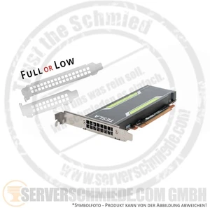 Dell nVidia Tesla P4 8GB KI AI VDI Server GPU PCIe x16 Fanless 75W 0JKR86 - Picture 1 of 8