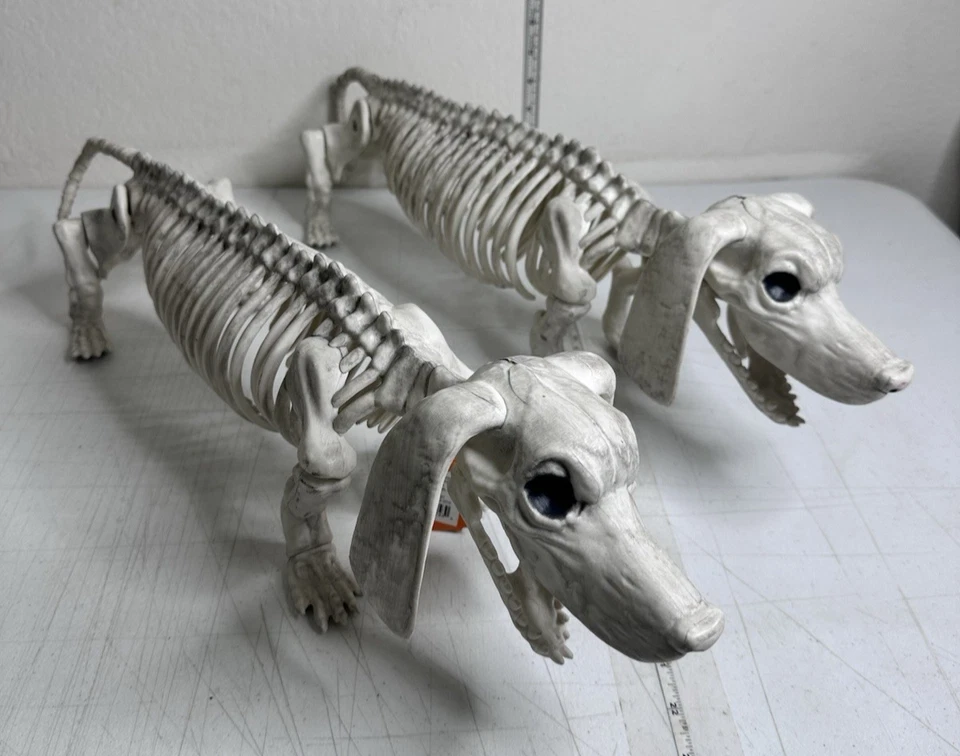 Hyde & EEK! Boutique Dachshund Skeleton Halloween Posable Prop 22" Dog Decor - Image 1 of 4
