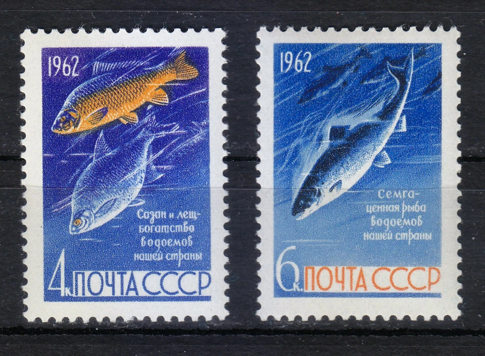 Russia 1962 MNH Mi 2640-2641 Sc 2632-2633 Freshwater salmon , Carp and Bream ** - Image 1 of 1