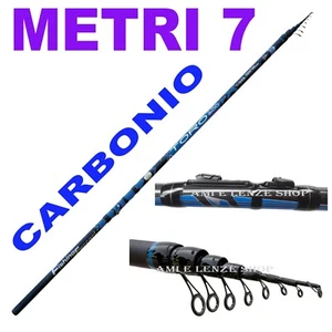 Canna Bolognese Mare Scogliera Potente Pesca Carpa Carbonio Metri 7 - Foto 1 di 1