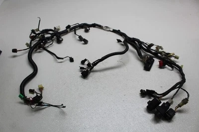 Kawasaki Vulcan 1500 VN1500P 2002-2003 Mean Streak arnés de cableado del motor principal Foto 1 de 4