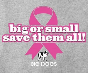 Breast Cancer Pink Ribbon Big or Small Save All Big Dogs Grey Gray Tee Shirt 2X - Picture 1 of 2
