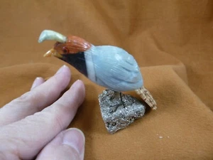 (Y-BIR-QU-20) Quail blue red black bird gemstone STONE figurine Peru quails - Picture 1 of 2