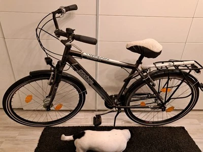 Herrenfahrrad von  Prophete - Bild 1 von 3