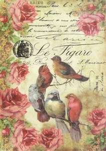 Papel de arroz para cuaderno de recortes hoja artesanal - pájaros Le Figaro - Imagen 1 de 1