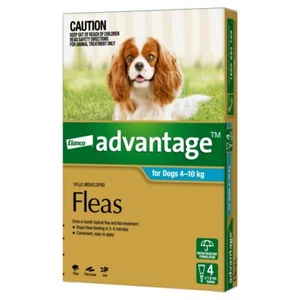 Advantage Dog Medium Aqua - Picture 1 of 5