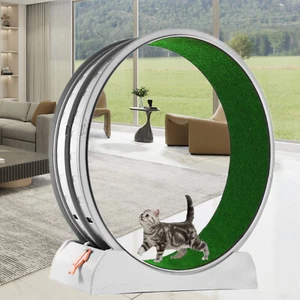 Katze Übungsrad Katze Laufband für Indoor Katzen Katze Laufrad mit Teppich - Bild 1 von 20