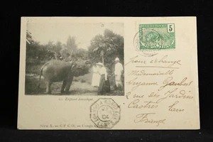 Congo centrale: 1907 cartolina vista elefante a Chicago - Foto 1 di 2