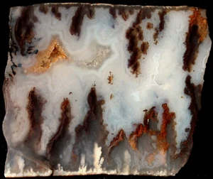 A1450 ~ 1.1 oz  Slab Graveyard Plume Agate, Graveyard Point, Oregon - Picture 1 of 8