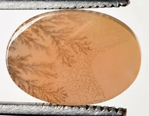 19.30*13.60 mm Natural Dendritic Agate Unique Piece Certified Gemstone - Picture 1 of 4