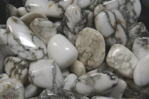 HOWLITE TROMMELSTEINE Kristalle Mineralien * 10 Unzen Charge * 1/2 - 1" Größe Stücke - Bild 1 von 6