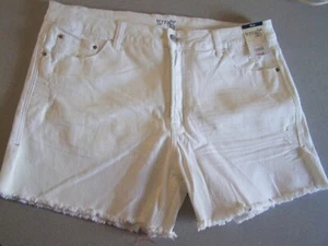 NWT Terra & Sky White Destressed fray hem High rise shorts size 16W - Picture 1 of 4