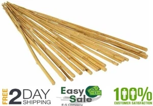 25 Bamboo Trellis Stakes 4' for Garden Plants Support Tomatoes Peas Plant Sticks - Picture 1 of 12