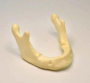 30PCS Dental Mandible jaw model for basic Drilling Implant insertion practice - Picture 1 of 1