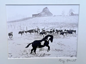 Gregg Albracht Original Photograph Signed LIGHTNING PAINT HORSE SNOW COWS BARN - Picture 1 of 7