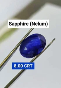 Sapphire (Elite choice) - Picture 1 of 5