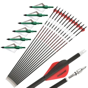 31" Noctilucent Archery Carbon Arrows Feathers Tips Recurve Compound Bow Hunting - Picture 1 of 32