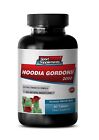 Pure Hoodia Gordonii - New Hoodia Gordonii 2000mg - Fat Burner Tablets 1 Bottle