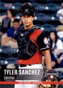2016 Hickory Crawdads Update Choice #21 Tyler Sanchez Port St Lucie Florida Card
