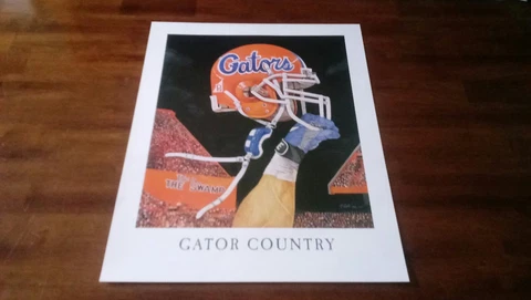 2x Florida Gators college football helmet poster set of 2 posters Cover