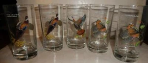Lot 5 Ned Smith Game Bird Wild Turkey-Pheasant-Woodcock Hunting Highball Glasses - Picture 1 of 5
