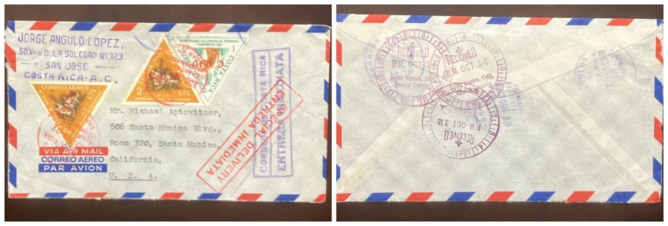 O) COSTA RICA, SAN JOSE ENTREGA ESPECIAL, ENTREGA INMEDIATA, ANIMALES - ZORRO GRIS Foto 1 de 1