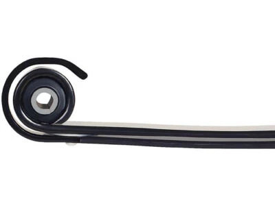 Para Ford F250 Super Duty 1999-2004 muelle hoja delantero Dorman 25815KJFN 2000 2001 Foto 1 de 2