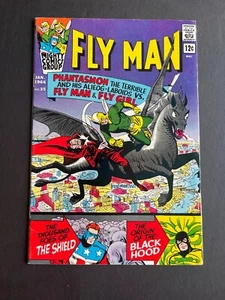 Fly Man #35 - Cover by Paul Reinman (1966, Archie) VF - Picture 1 of 3