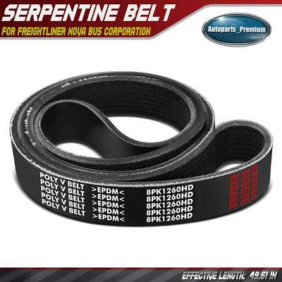 Cinturón serpentino de alta resistencia de 49,61" para Freightliner FLC112 Nova Bus Corporation Foto 1 de 4