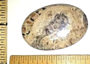 Pietra naturale ovale lucida cabochon, stromatolite, roccia fossile vita marina, 46x31mm - Foto 1 di 10