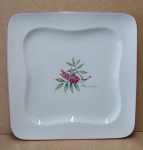 Vivo 0702 v. Villeroy & Boch , Speiseteller ca. 27x27 cm (+DB) - Bild 1 von 3