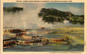 Vintage Linen Yellowstone Postcard Summit Basin Springs Mammoth Haynes 35848 MT - Imagen 1 de 3