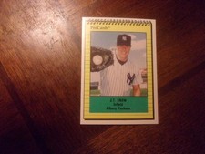 1991 ALBANY YANKEES PROCARDS Minor League Single Cards YOU PICK OBO