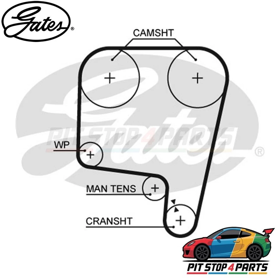 Correa de distribución Gates 5340 neopreno 1276 mm para Alfa Romeo Spider 1999-2003 Foto 1 de 4