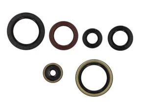 Juego de anillos de sellado de eje de motor ATHENA se adapta a KTM SX 125 ab16 XC-W 125 ab17 - Imagen 1 de 1