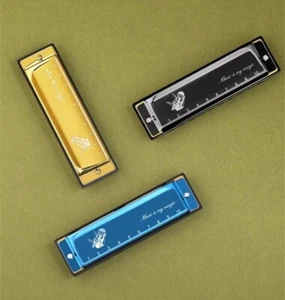 10-Hole C Blues Harmonica Diatonic Beginner Set with Case Custom Name Engraved - Picture 1 of 30