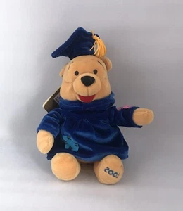 Mini peluche Dinsey Winnie The Pooh “Graduate Pooh” 2001 - Imagen 1 de 4