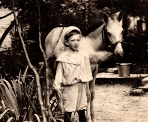 Rppc Boy With Pony Horse Colt Real Photo Postcard - Picture 1 of 4
