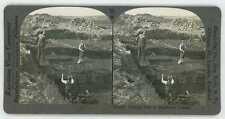 Ireland ~ MAN & TWO YOUNG BOYS CUTTTING PEAT ~ Stereoview 12635 181dx NEAR MINT