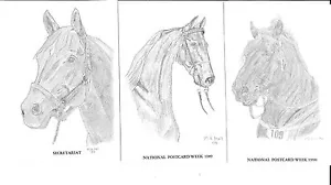 3 Different Horse Art Postcards: Secretariat, Night of Love & Shire, Packet of 6 - Picture 1 of 5