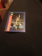GENERAL  ADNAN    WWF 1991  TRADING  CARD   (CARD NO.67)