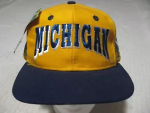 Vintage Top of the World TW NCAA Michigan State Wolverines QUAD 2-farbige Wollmütze - Bild 1 von 17
