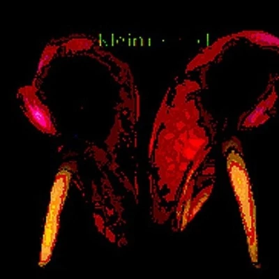 Sincerely Yours by Various Artists - Image 1 of 2