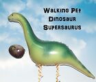 Dinosaur Walking Pet Foil Balloon Dinosaur Party Supplies Decorations